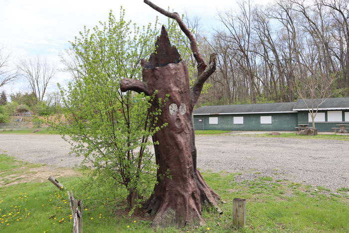 Prehistoric Forest - May 1 2021 (newer photo)